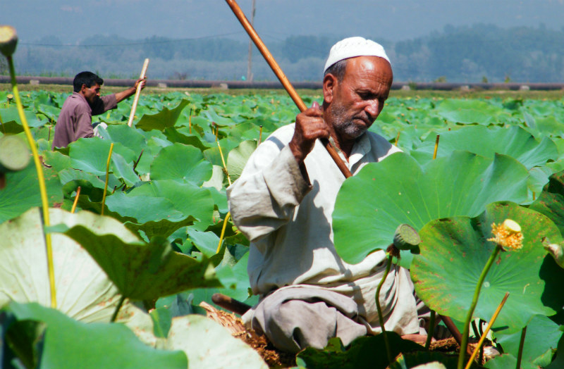 Land-of-Lakes_Kashmir-India-Anupam-Chanda-Kas111BB