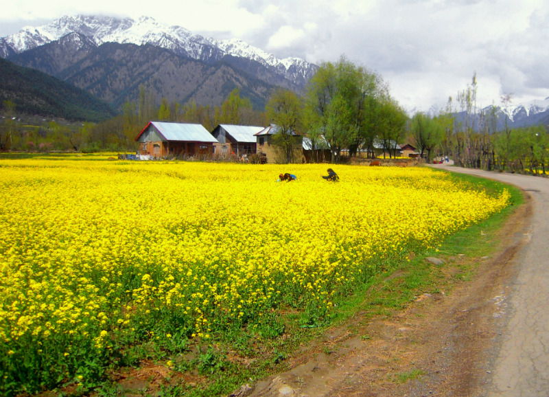 Land-of-Lakes_Kashmir-India-Anupam-Chanda-Kas121BB
