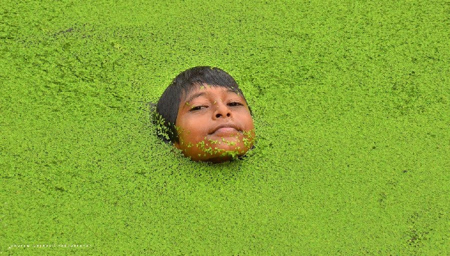 boy-sundarbans