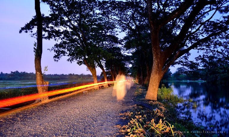 sundarbans-road